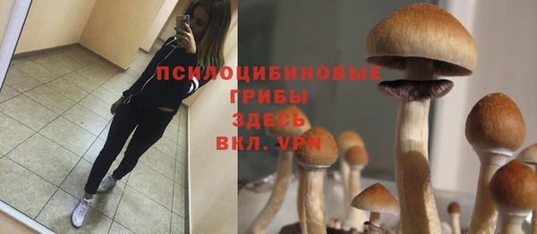 mdma Нефтекумск