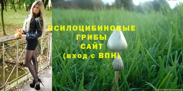 PSILOCYBIN Балахна