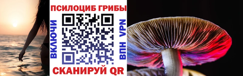 mega вход  Нахабино  Псилоцибиновые грибы Magic Shrooms 