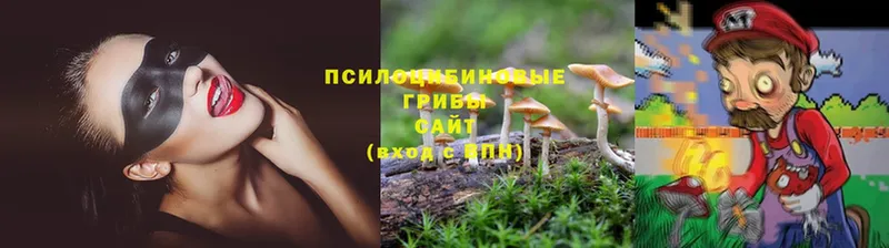 Псилоцибиновые грибы MAGIC MUSHROOMS  Нахабино 